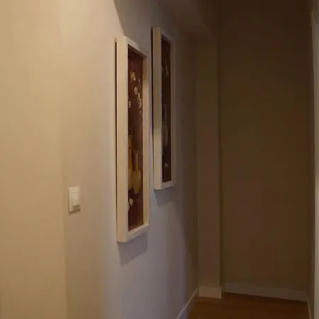 Curto - Amplio Apartamento En El Centro De Castro